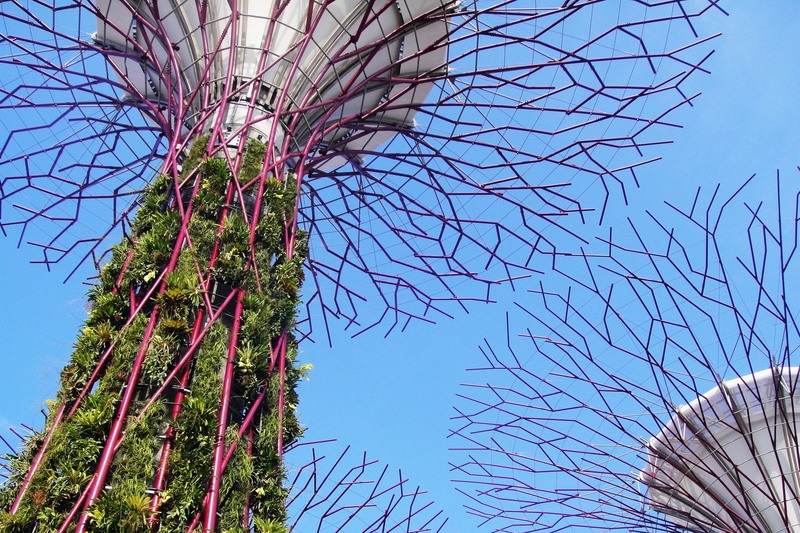 Gardens by the Bay: футуристический сад в Сингапуре, где природа встретилась с технологиями