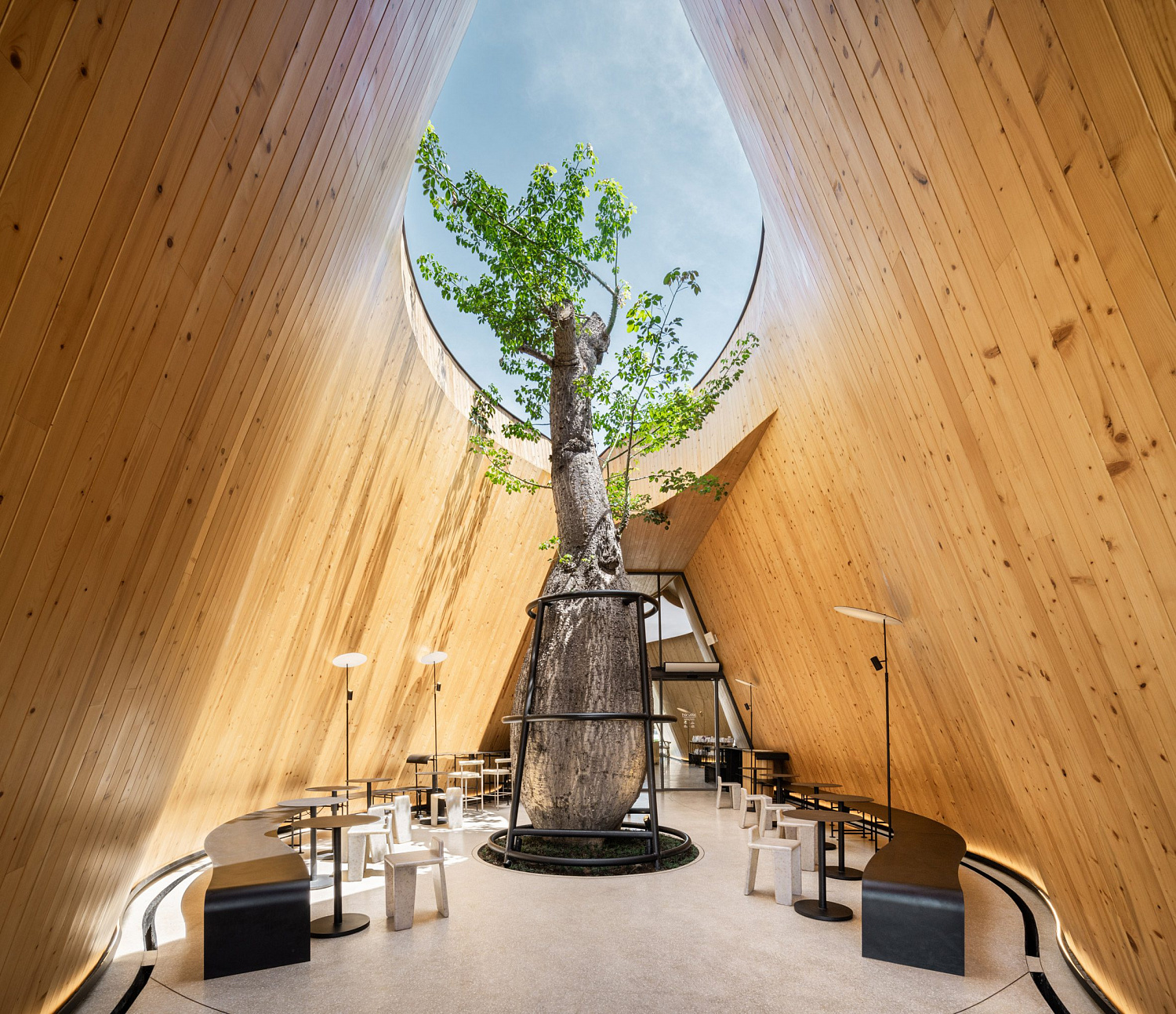 Дерево баобаб растёт в изогнутом кафе в Таиланде от IDIN Architects