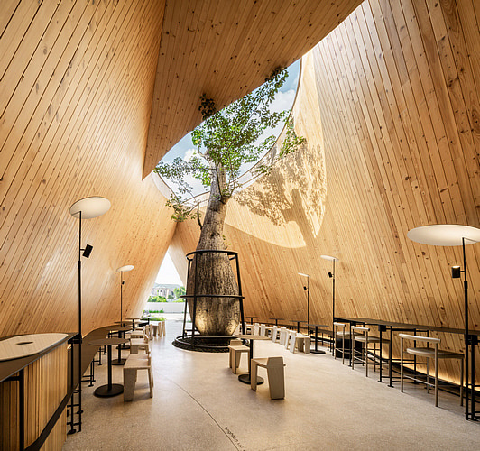 Дерево баобаб растёт в изогнутом кафе в Таиланде от IDIN Architects